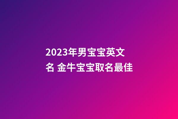 2023年男宝宝英文名 金牛宝宝取名最佳